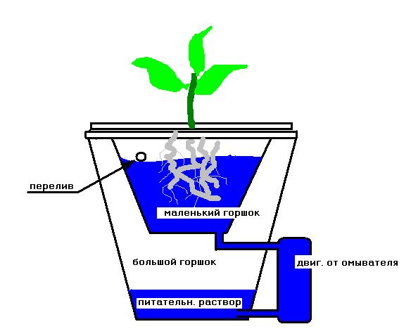 Раствор для гидропоники своими руками