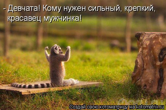 http://img.radiokot.ru/files/3663/medium/1riyo67jk7.jpg